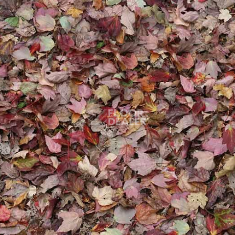Ковролин ForboFlotex Vision Image 000532 Red Leaves фото 1 | FLOORDEALER